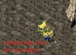 如何修炼涅槃之欲中的他达拉非秘籍？