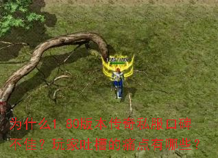 为什么1.80版本传奇私服口碑不佳？玩家吐槽的痛点有哪些？