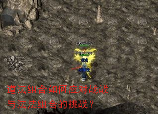 道法组合如何应对战战与法法组合的挑战？