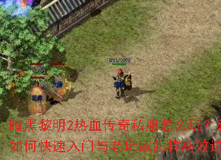 暗黑黎明2热血传奇私服怎么玩？新手如何快速入门与老玩家怎样高效进阶？