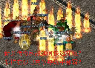 新开传奇私服如何快速升级？怎样在沙巴克争夺战中称霸？