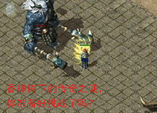 香樟树下的传奇之谜,你准备好挑战了吗?