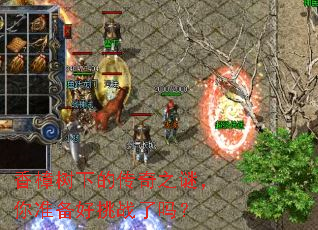 香樟树下的传奇之谜，你准备好挑战了吗？