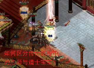 如何区分传奇私服中的法师与道士宝宝？