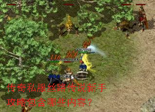 传奇私服丝路传说新手攻略包含哪些内容？