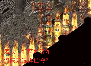 魔侠传新区冲级如何高效选择怪物？