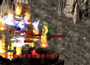 道士施毒术等级提升攻略？