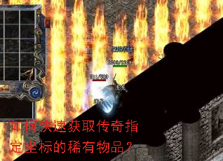 如何快速获取传奇指定坐标的稀有物品？