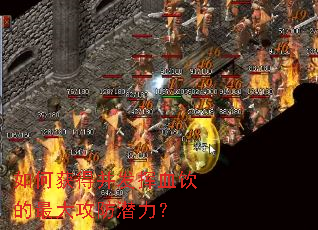 如何获得并发挥血饮的最大攻防潜力？