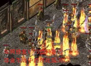 如何修复1.75盟玛复古非金币版中的游戏漏洞？