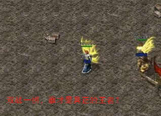 双战一拼，谁才是真正的王者？