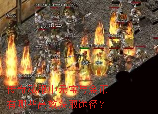 传奇私服中元宝与金币有哪些高效获取途径？