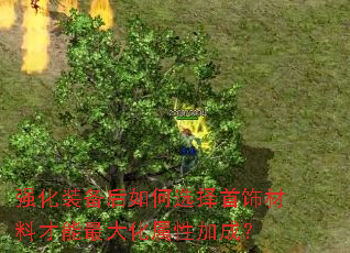 强化装备后如何选择首饰材料才能最大化属性加成？