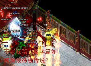 不老秘籍：金字篇如何解锁终极传说？