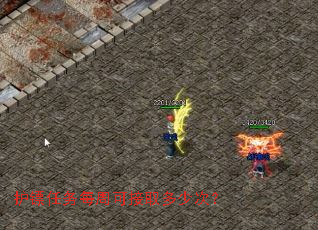 护镖任务每周可接取多少次？