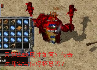 天狼蜘蛛属性如何？传奇法师宝宝值得招募吗？