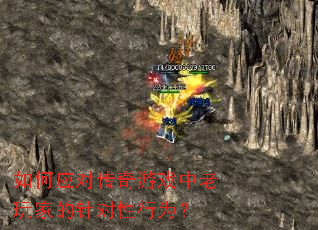 如何应对传奇游戏中老玩家的针对性行为？