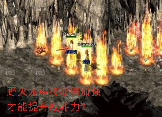 野火龙中技如何加强才能提升战斗力？