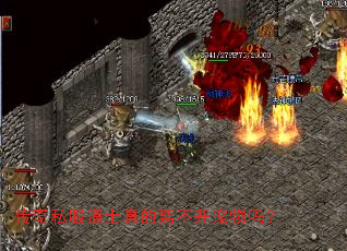 传奇私服道士真的离不开宠物吗？