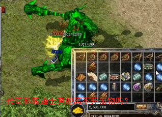 传奇私服道士真的离不开宠物吗？