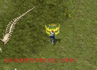 如何快速提升传奇幻想之力等级？