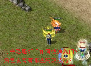 传奇私服新手如何快速入门？角色发育有哪些高效技巧？