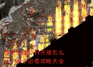 传奇私服今日开服怎么玩？新手必看攻略大全