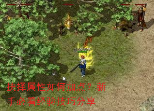 抉择属性如何加点？新手必看经验技巧分享