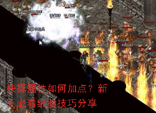 抉择属性如何加点？新手必看经验技巧分享