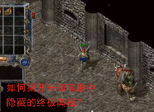 如何揭开未知暗殿中隐藏的终极奥秘？