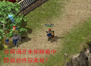 如何揭开未知暗殿中隐藏的终极奥秘？