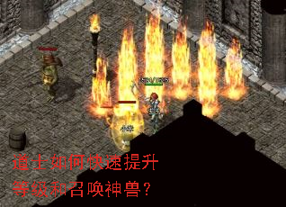 道士如何快速提升等级和召唤神兽？