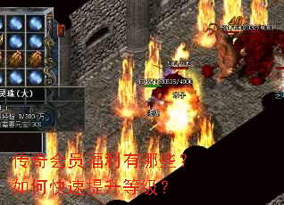 传奇会员福利有哪些？如何快速提升等级？