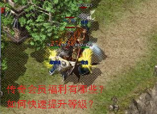 传奇会员福利有哪些？如何快速提升等级？