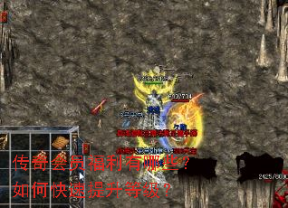 传奇会员福利有哪些？如何快速提升等级？