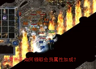 传奇新手如何领取会员属性加成？