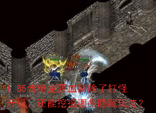 1.85传奇龙源血路除了打怪升级，还能挖掘哪些隐藏玩法？