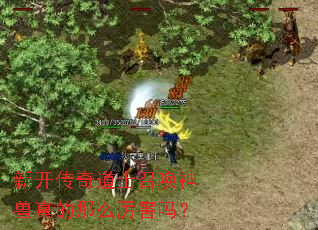 新开传奇道士召唤神兽真的那么厉害吗？