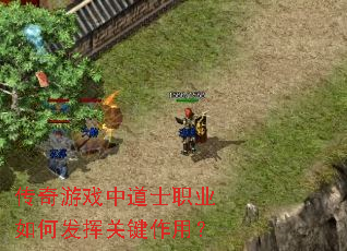 传奇游戏中道士职业如何发挥关键作用？