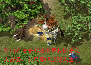 如何在传奇游戏中寻找比奇私人服务，开启巅峰游戏人生？