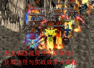 天龙衣隐藏属性如何解锁？获取途径与实战效果大揭秘