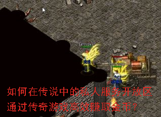 如何在传说中的私人服务开放区通过传奇游戏高效赚取金币？