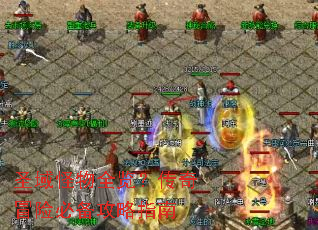 圣域怪物全览？传奇冒险必备攻略指南