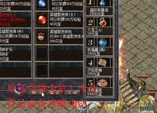 圣域怪物全览？传奇冒险必备攻略指南