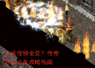 圣域怪物全览？传奇冒险必备攻略指南