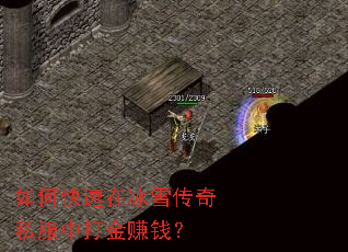 如何快速在冰雪传奇私服中打金赚钱？