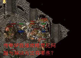 传奇SF找服攻略常见问题与解决方法有哪些？
