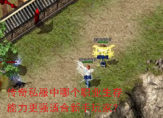 传奇私服中哪个职业生存能力更强适合新手玩家？