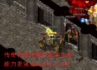 传奇私服中哪个职业生存能力更强适合新手玩家？