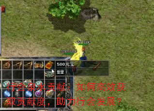 行会泉水贡献：如何高效获取贡献度，助力行会发展？